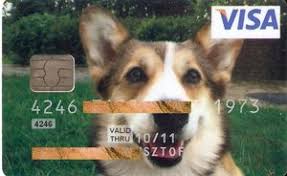 Credit cards and plans in salt lake city, ut. Bank Card Visa Ing Bank Slaski Sa Poland Col Pl Vi 0015