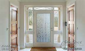 glass front doors stunning and