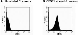 Staining Of S Aureus With Cfda Se Histograms Of Cell Open I