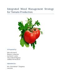 X Tomato    Research Proposal Texas A M AgriLife Research   Texas A M University