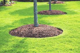 choosing and using the right mulch