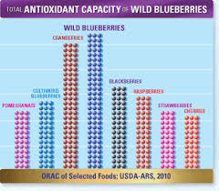 Antioxidants Wild Blueberries Benefits Of Organic Food