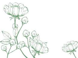 flower line drawing green hand drawn
