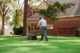 To aerate your lawn properly you need to use an aeration machine. Lawn Aeration Guide Professional Services Vs Diy Trugreen