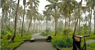 Find local weather forecasts for kozhikode, india throughout the world. Heavy Kerala Rains To Continue Kochi Kozhikode And Kannur On Flood Alert Skymet Weather Services