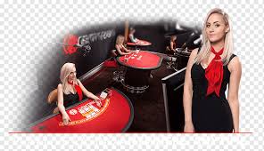 Online Casino Casino game Video poker Online gambling, casino dealer, game,  video Game, gambling png | PNGWing