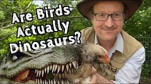 We did not find results for: Are Birds Really Dinosaurs V2 Youtube