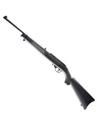 ruger 10 22 177 co2 air smith