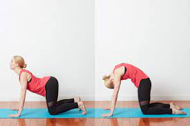 6 yoga poses for better posture