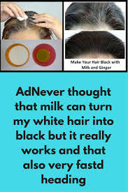 If you cannot find such products, use my hair is white blonde and i'm going black. Milk And Ginger To Reverse White Hair Naturally Today I Will Tell You One Ayurveda Trick To Reverse Prem Natural Hair Recipes Hair Growing Remedies White Hair