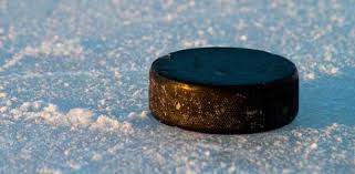 Image result for hockey puck cut in half