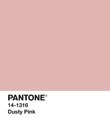 Dusty Pink In 2019 Pantone Colour Palettes Pantone