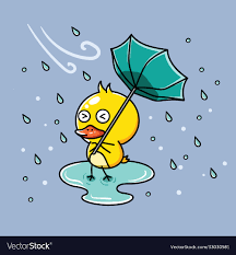 cute duck in raining days royalty free
