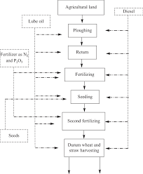 Durum Wheat Production Flow Chart Source Personal