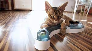 the 8 best cat track toys and ball towers