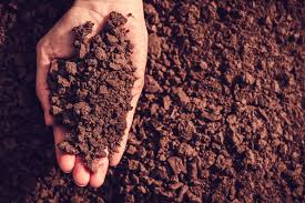 about soil conservation benefits