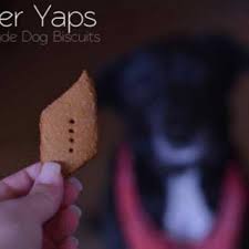 ginger yaps homemade dog biscuits