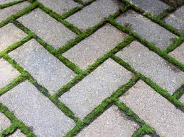 how to remove moss from pavers s s