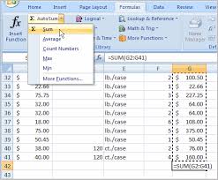 Excel 2007 Working With Basic Functions
