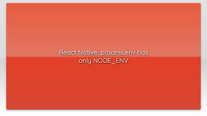 react native process env has only