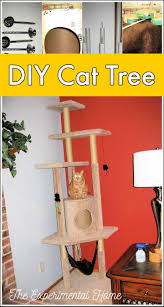 diy cat tree with step by step plan