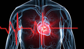 Sudden Cardiac Arrest: What Precautions Should A Heart Patient With Existing Heart Conditions Take? | TheHealthSite.com