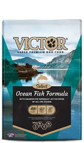 ocean fish formula with salmon victor