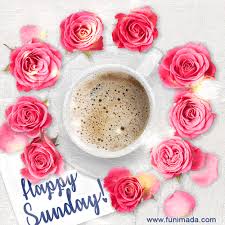 happy sunday gif roses and a cup of