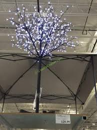 7 Led Blossom Tree With 600 Cool White