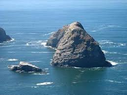 Complete Guide To Pacific City Oceanside Netarts And The