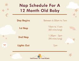 12 month old sleep schedule your