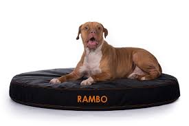 chew proof ballistic orthopedic dog bed