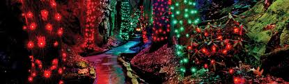 rock city s enchanted garden of lights