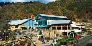 kid friendly activities in pigeon forge