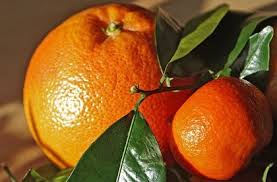 Naranja f (plural naranjas) orange (fruit) noun. Conoce Los Beneficios Y Propiedades De Las Naranjas Y Mandarinas