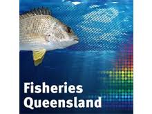 Qld Fishing Rules Regulations Fish Size Limits Get Fishing