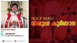 You can watch shalom tv india live and all india tv channels online through livetvcentral.com. Holy Mass Rc Fr Mathew Thoomullil Shalomtv Youtube