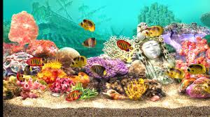 free 3d living aquarium screensaver apk