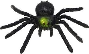 AMACO FAKE SPIDER For Prank / Gag toys for halloween props (girl & boy) Fake spider Gag Toy Price in India - Buy AMACO FAKE SPIDER For Prank / Gag toys for