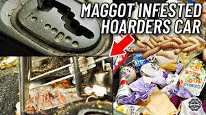 how to get rid of maggots in car fast