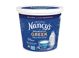 greek yogurt 20 best options with