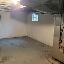 Flooded Basement Cleanup Project In St
