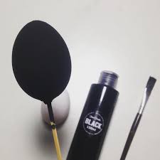 Blackest Paint Available To Artists