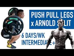 push pull legs x arnold split full 6
