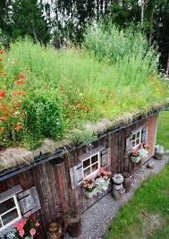 Beautiful Garden Sheds With Green Roof