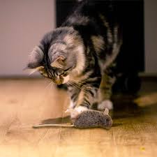 A wide variety of catnip bags for cats options are available to you, such as material, feature, and toys type. Refillable Catnip Mouse With 3 Catnip Teabags In Ziplock Bag Naturally For Pets