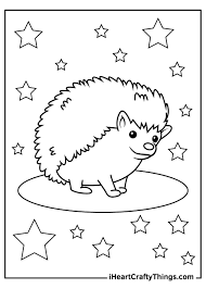 Hedgehog color pages