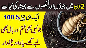anti lice treatment