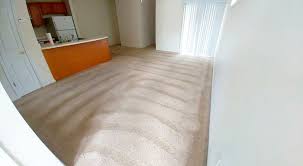 eastern s carpet care carpet
