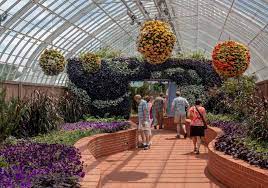 phipps conservatory in pittsburgh